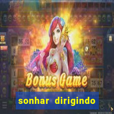 sonhar dirigindo carro jogo do bicho